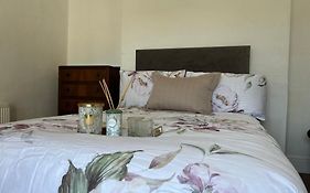 Comfortable Room
